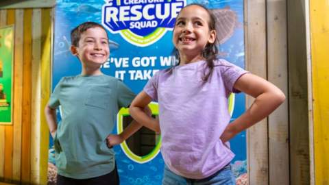 Sea Creature Rescue Squad