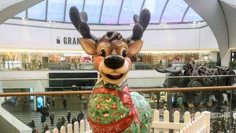 Brum’s Christmas Reindeer Trail