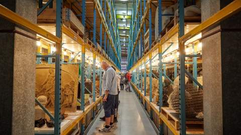 Saturday Explore the Museum Collection Centre