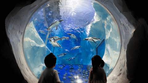 National SEA LIFE Centre Birmingham