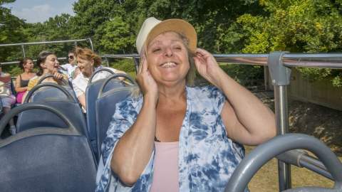 New Forest Tour