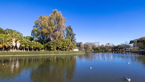 Parque de la Paloma