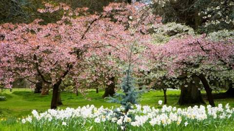 Batsford Arboretum & Garden Centre