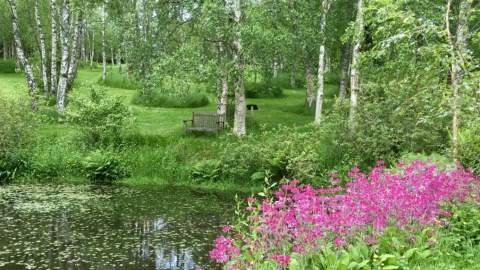 Stone Lane Gardens