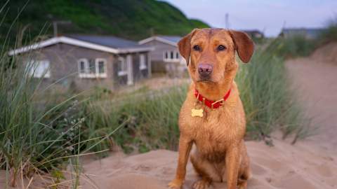 Saunton Beach Villas