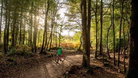 Haldon Forest Park - Forestry England