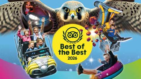 The Milky Way Adventure Park