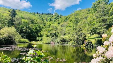 Canonteign Falls