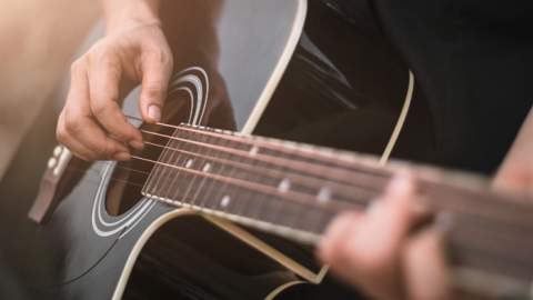 Gigs in the Garden | The Red House Museum