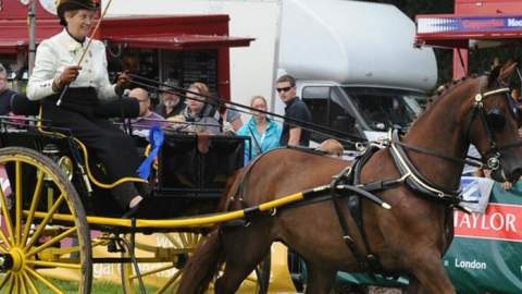 The Honiton Show