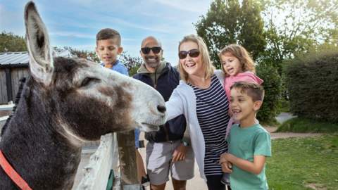 The Donkey Sanctuary