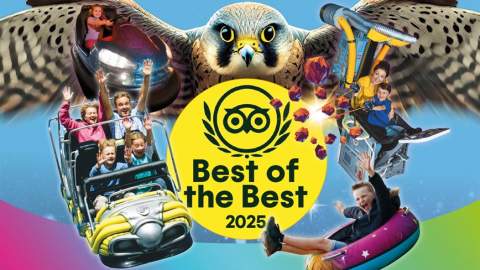 The Milky Way Adventure Park