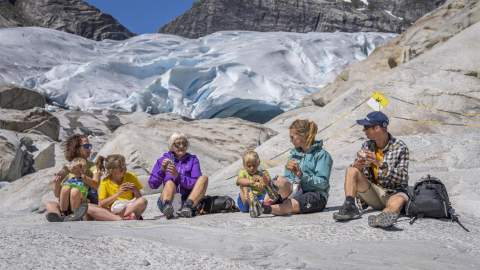 Guided hike to Nigardsbreen viewpoint