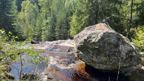 Vandretur: Flyktningerute, Timianruta