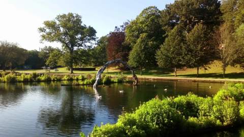 Alexandra Park & St Leonards Gardens Loop