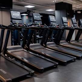 Gimnasio VivaGym