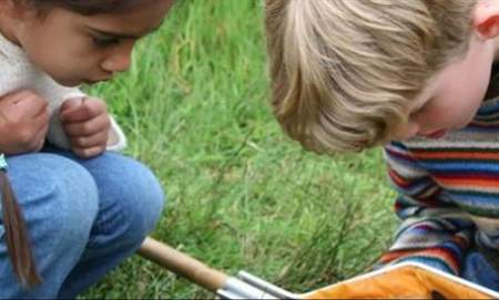 Abberton Butterfly and Bug Hunt