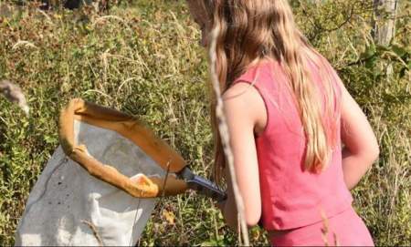 Abberton Summer Nature detectives