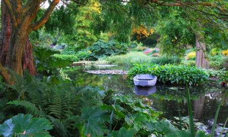 Beth Chatto's Plants & Gardens