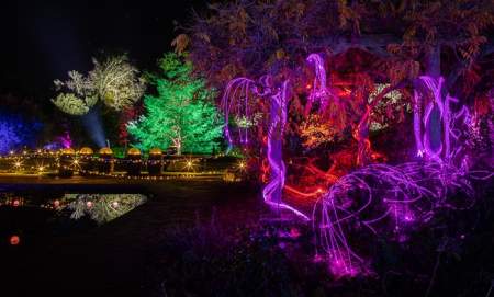 Enlightened - Castle Park Christmas Light Trail