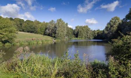 Forest Adventure - High Woods Country Park