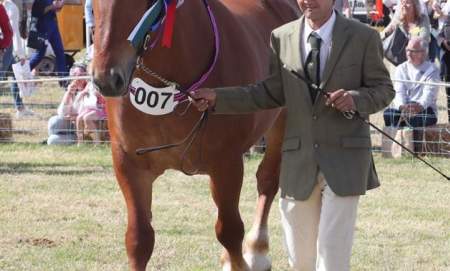 Tendring Show