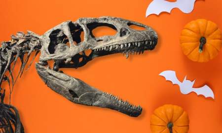 Hollytrees Museum Spooky Dino Hunt