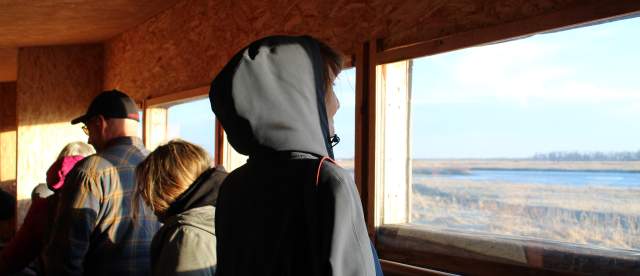 Sandhill Crane Blind Tour with Dusty Trails
