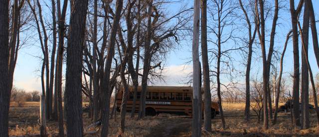 Sandhill Crane Blind Tour with Dusty Trails