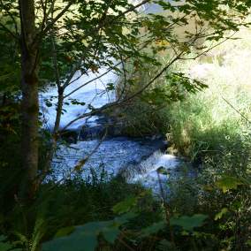 Lake Creek Falls Recreation Site
