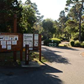 Waxmyrtle Campground