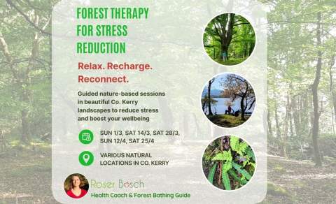 Forest Therapy for Stress Reduction