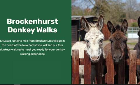 Brockenhurst Donkey Walks