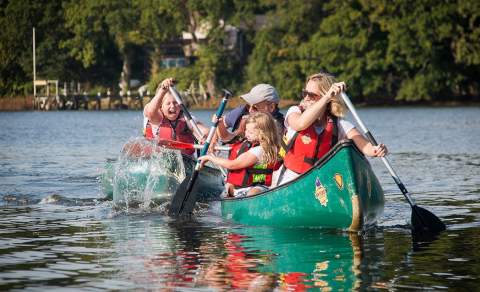 New Forest Activities