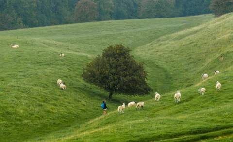 Cotswold Walks