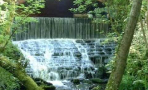 Chewton Bunny Nature Reserve