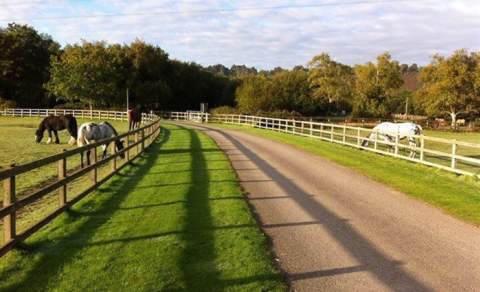 Dudmoor Farm Riding School