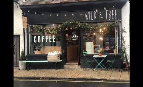 Wild & Free