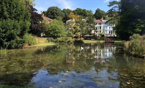Alexandra Park