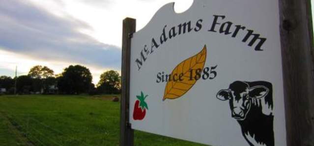 McAdams Farm