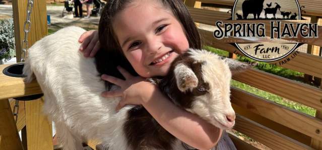 Spring Haven Farm