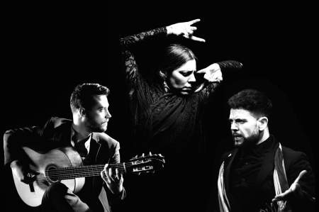 Art of Andalucia – Flamenco