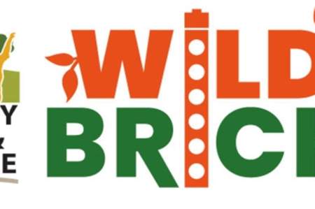 Wild Bricks at Dudley Zoo
