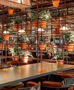 The Botanist