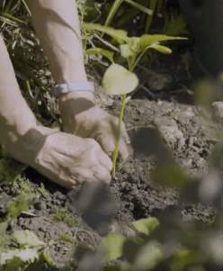 Community Film Screening