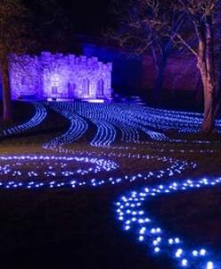 Frequency 2026: Festival of Light, Play & Discovery