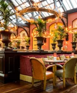 The Cosy Club