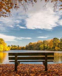 Hartsholme Country Park