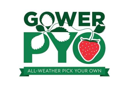 Gower Pick Your Own