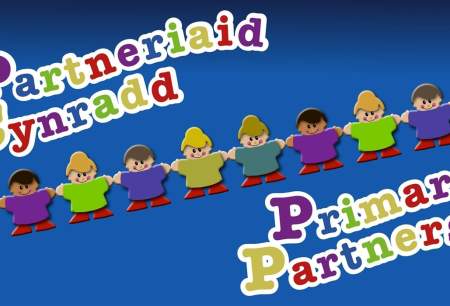 Primary Partners